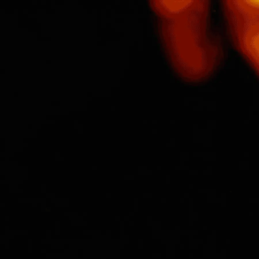 Decaf New Orleans-Style Coffee and Roasted Chicory Kit